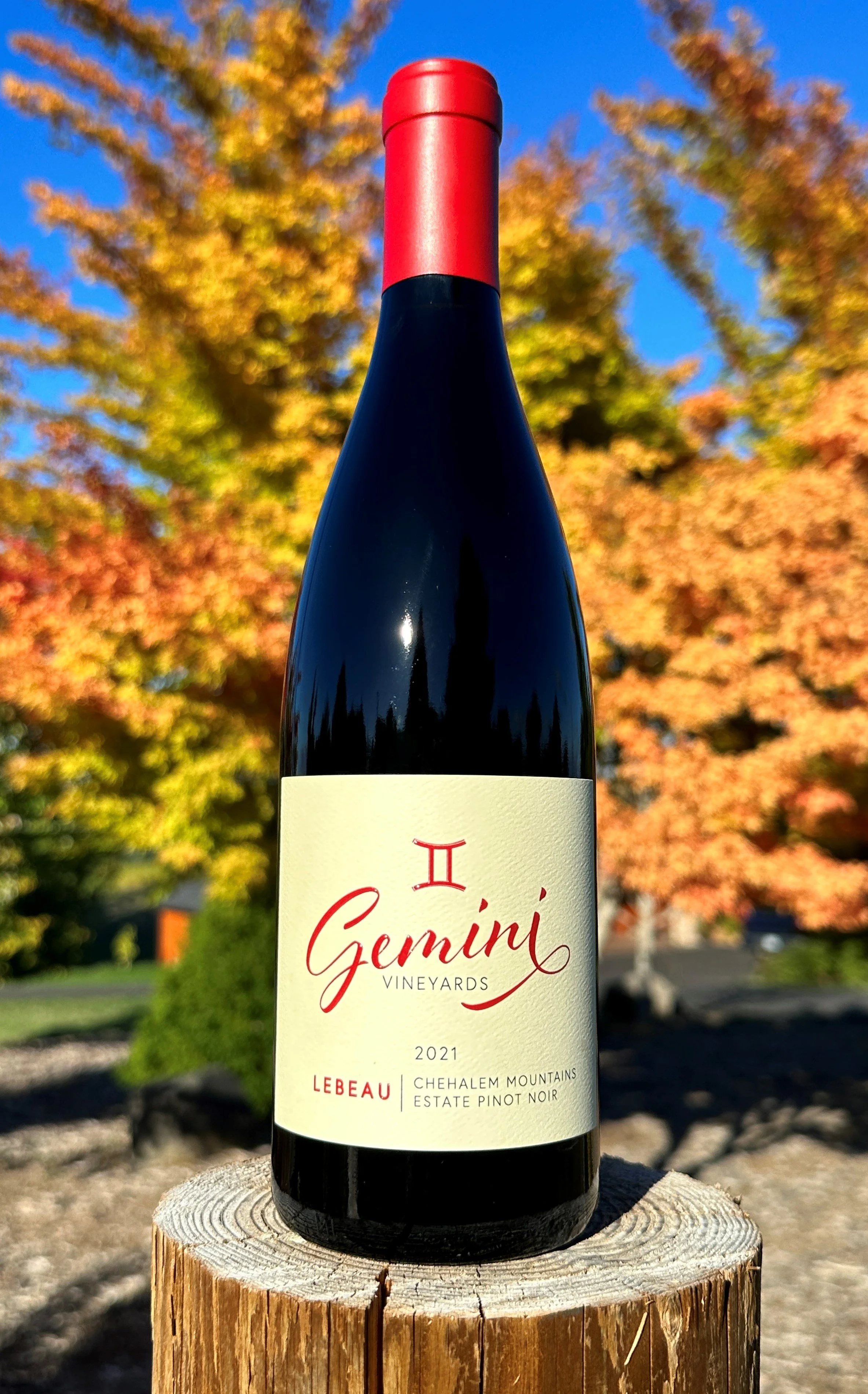WINE — GEMINI VINEYARD